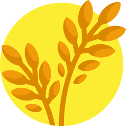 Grains